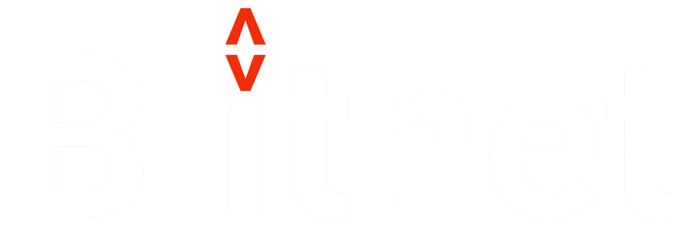 Blitnet Logo in Light Mode